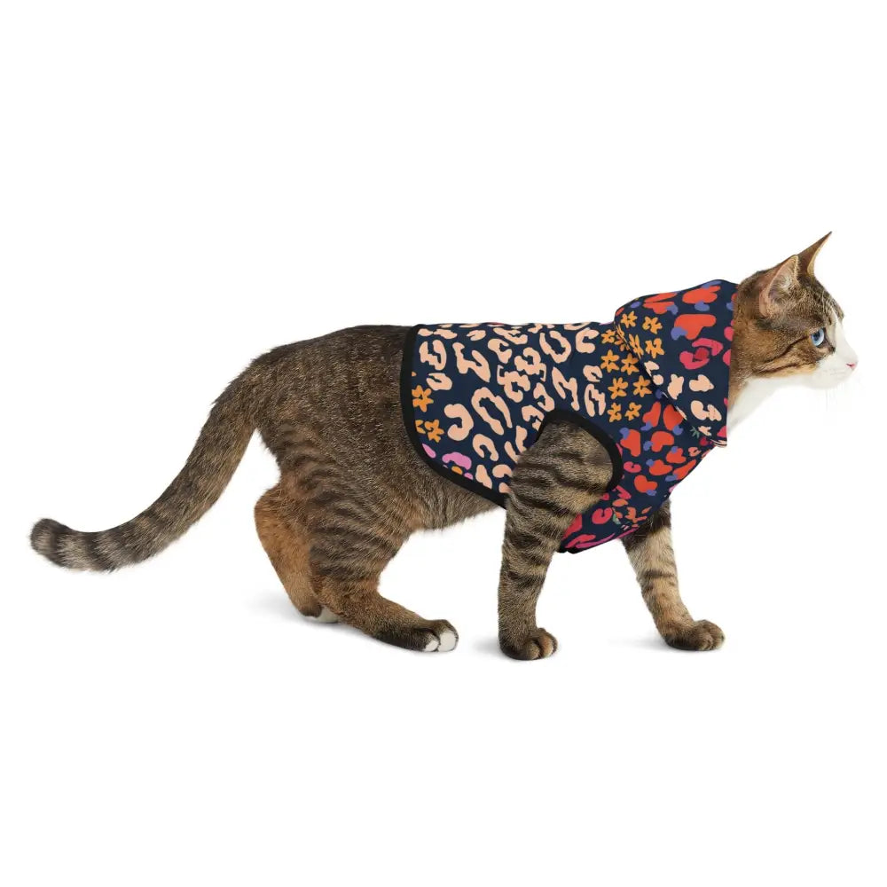 Tabby cat wearing a colorful floral patterned Pet Hoodie from PixiOnyx Bold Petwear