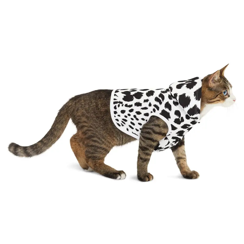 Tabby cat wearing a White Leopard Print Pet Hoodie from PixiOnyx Wildwear Edition