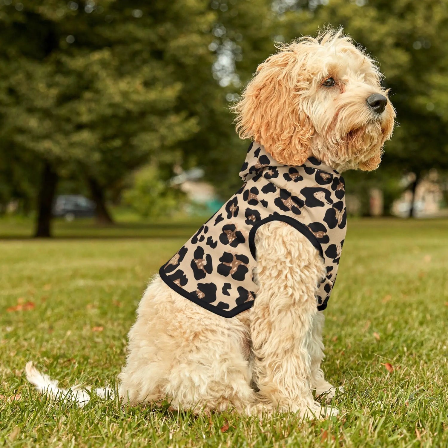 Dog wearing leopard print hoodie in Pet Hoodies collection