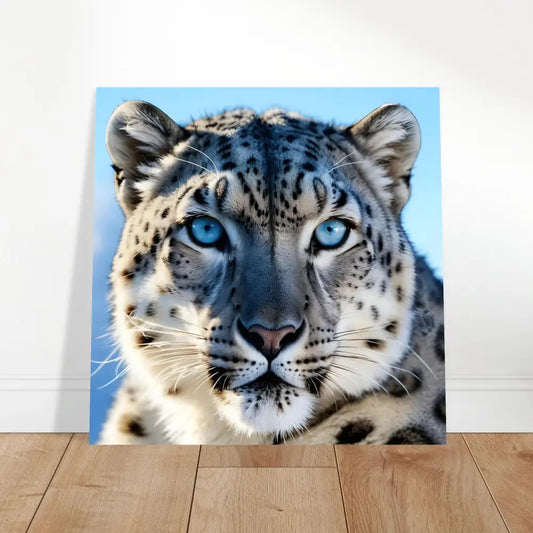 Snow leopard portrait on Aluminum Leopard Print Glacier Gaze PixiOnyx Metal Predator Panel