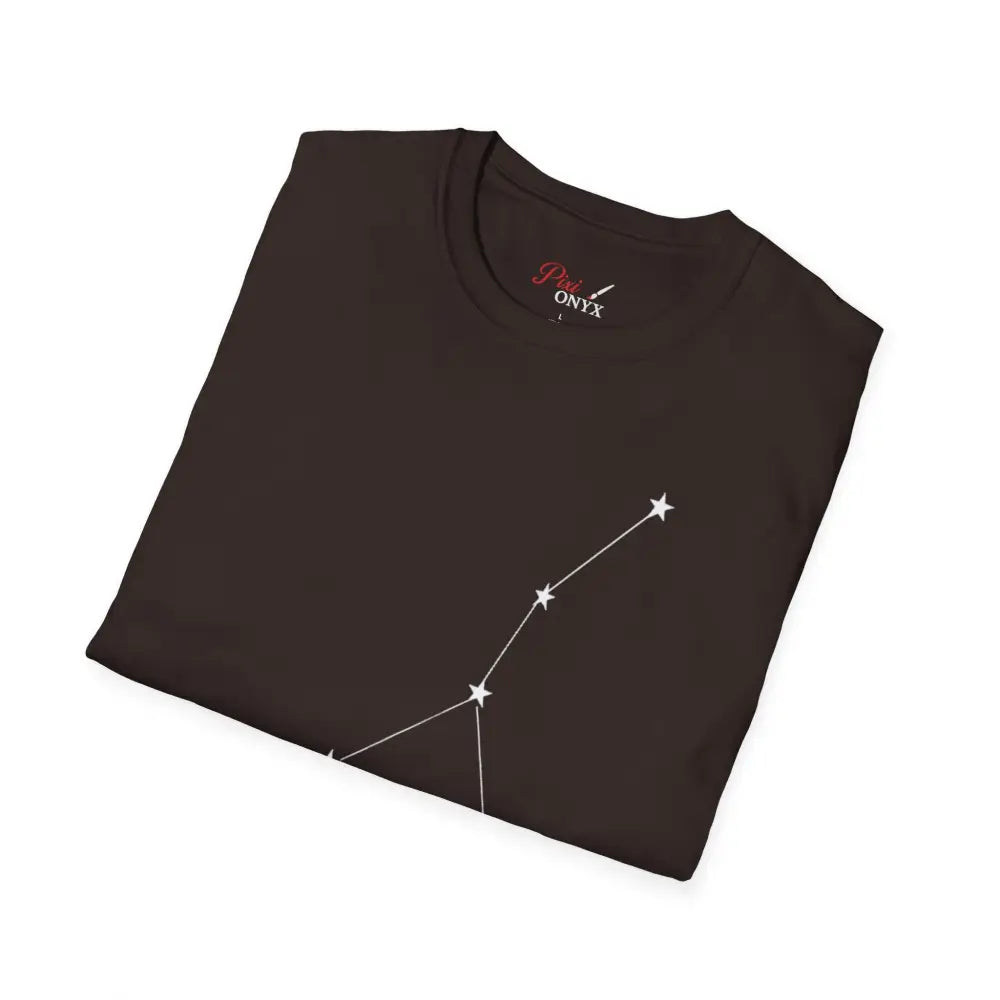 Dark brown unisex softstyle T-shirt with white constellation graphic, easy care instructions